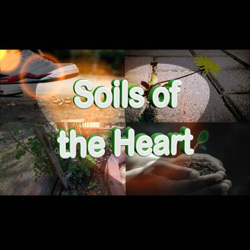 Soils - heart