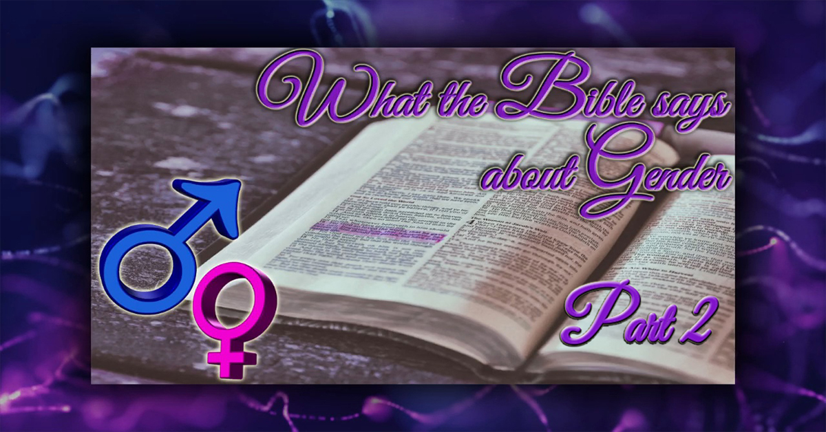 What the Bible says about Gender Part 2 Living Grace Fellowship