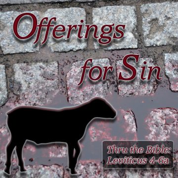 Sin Offering