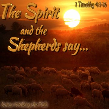 Spirit Shepherds
