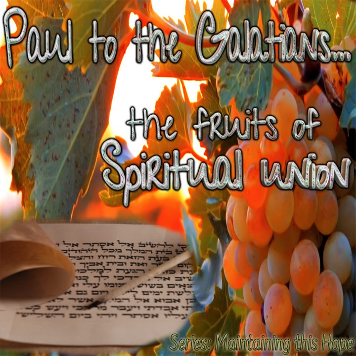 Fruit Union