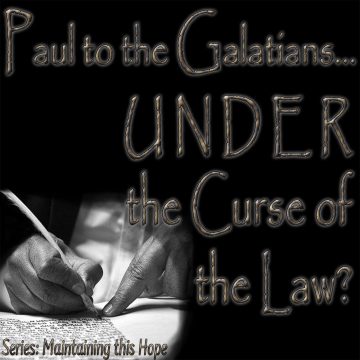 Under Curse Law