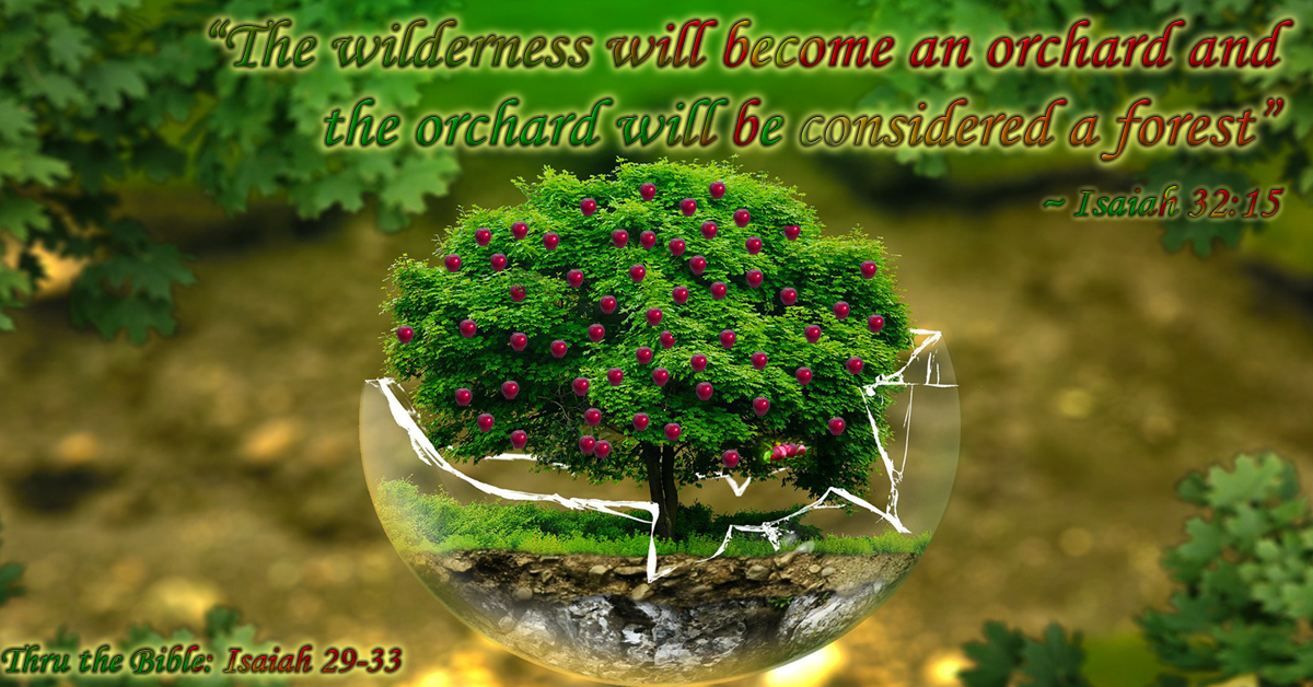 The wilderness will an orchard and the orchard will be