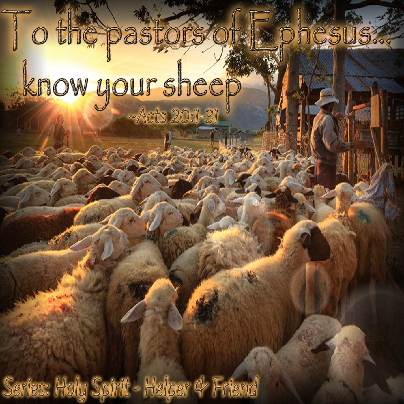 are pastors referred to as shepherd in the bible