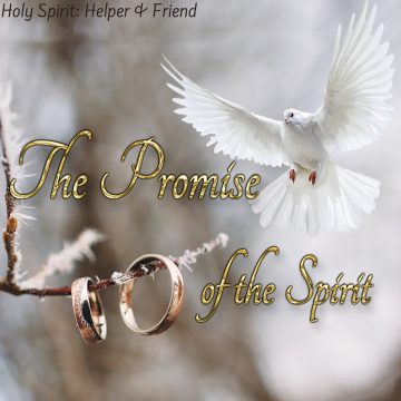 Promise Spirit
