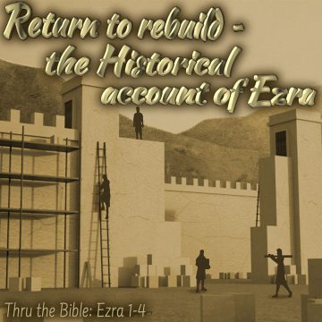 Ezra Return rebuild
