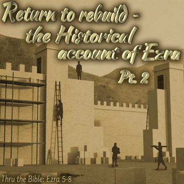 Ezra Return rebuild