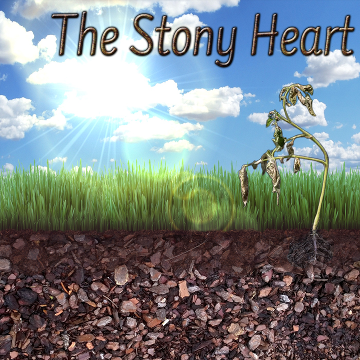 Stony Heart Parable Soil