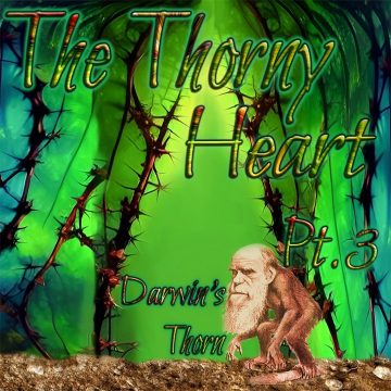 Thorny Heart Darwin