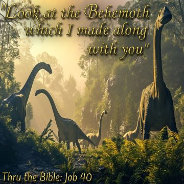 Job Behemoth