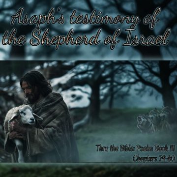 Asaph testimony Shepherd