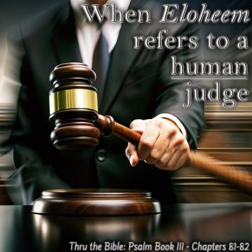 Eloheem human judge