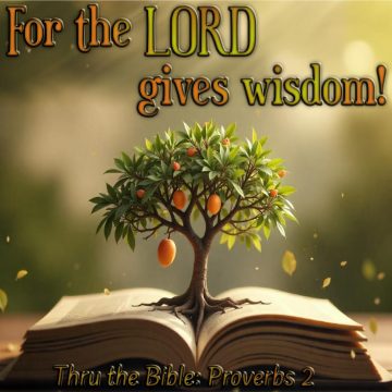 Lord gives wisdom