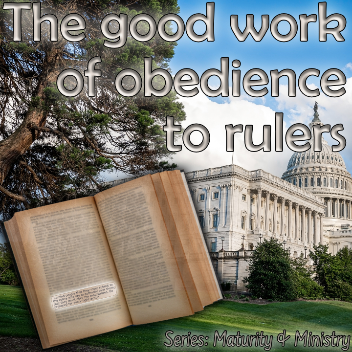 Good Work Obedience Rulers