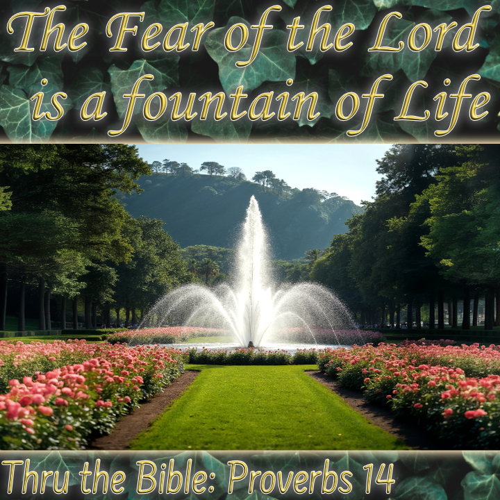Fear Lord Fountain Life