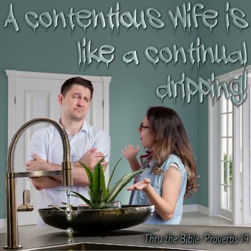 Contentious Wife dripping
