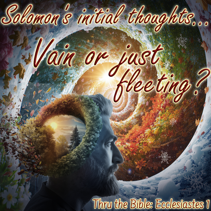 Solomon Ecclesiastes vain fleeting