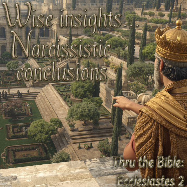 Solomon Ecclesiastes 2