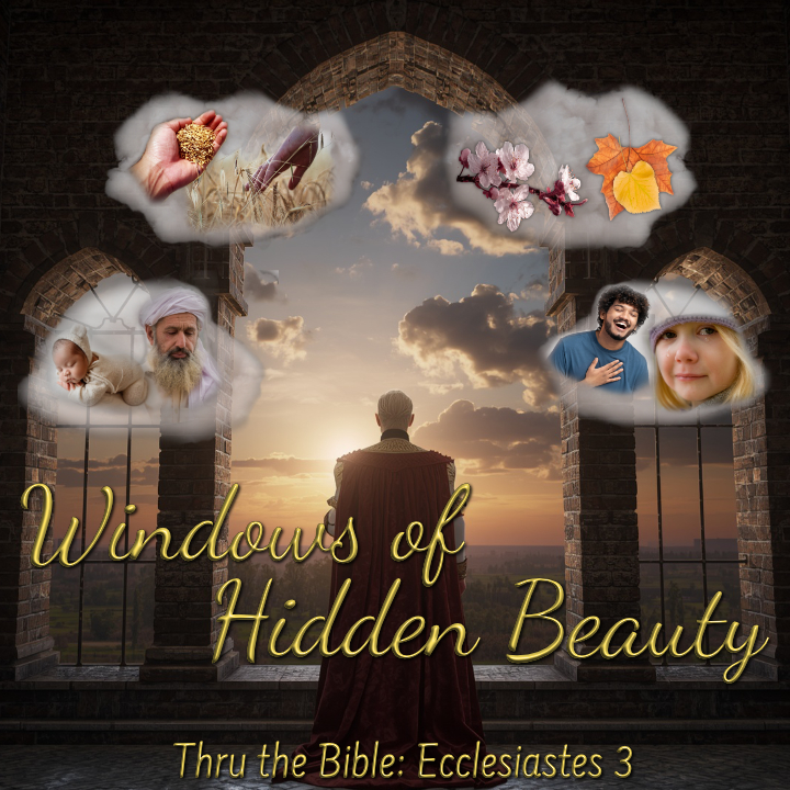 Ecclesiastes Solomon Windows Beauty