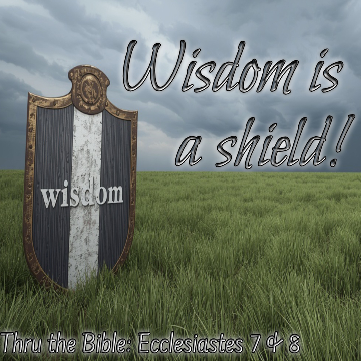 Wisdom Shield